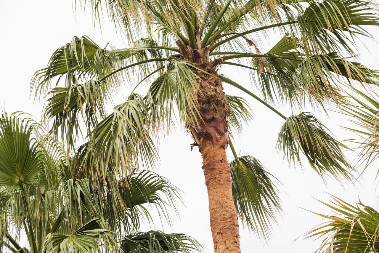 포트엘리자베스 Whispering Palms 아파트 외부 사진